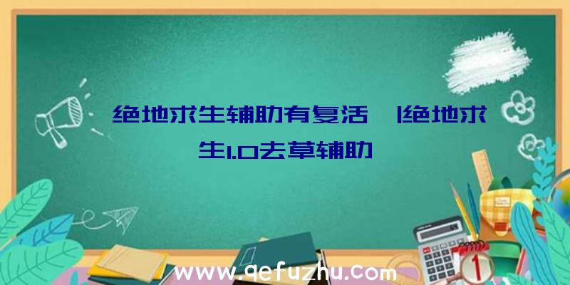 「绝地求生辅助有复活」|绝地求生1.0去草辅助